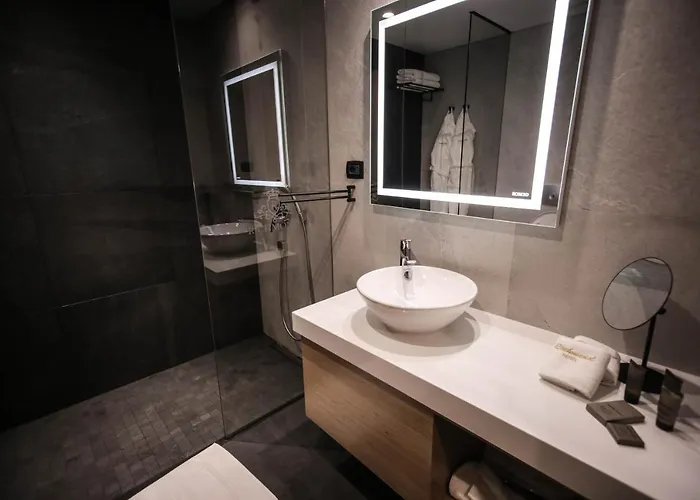 Richmond 酒店 科尔察